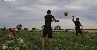 "Нема куди тікати": херсонські фермери використовують РЕБи й рушниці, боронячи врожай (фото)