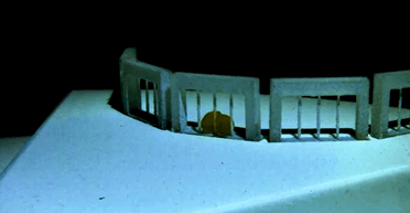 Как T-1000 из "Терминатор-2": создан "жидкий" робот, который проходит сквозь прутья (фото)