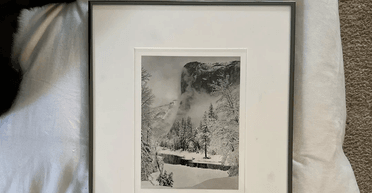 Витратила всього 4 долари: жінка купила на розпродажі витвір мистецтва (фото)