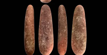 Демонстрирует плавный переход: археологи обнаружили уникальный артефакт времен мезолита