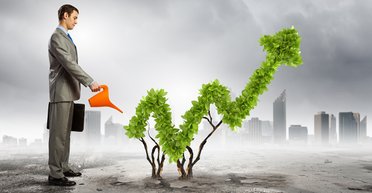 Вместо депозитов. Почему в Украине стали популярными гособлигации