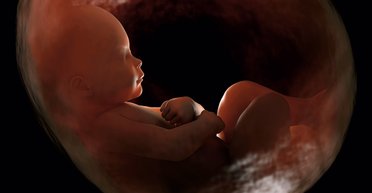 Свобода рожать. Запретят ли аборты в Украине