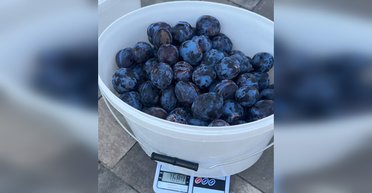 "Это их заработок": женщина рассказала, как продавцы обманывают покупателей на рынке