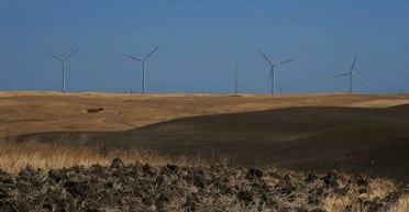 Місто майбутнього, що фінансується мільярдерами, ризикує завдати величезної шкоди людям (фото)