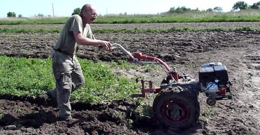 Земледелие 10.0. Сможет ли Украина встроиться в сельское хозяйство будущего