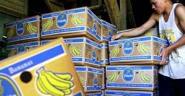 Финансировал террористов в Колумбии: известнейший банановый бренд должен выплатить жертвам миллионы долларов