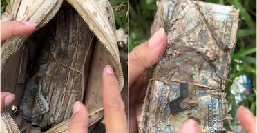 Женщина "нашла" на свалке сумку с пачками долларов, но люди заметили один нюанс (фото)