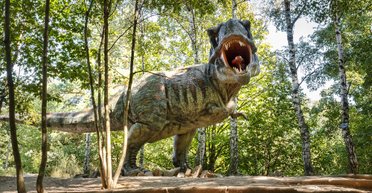 Эволюция уменьшила лапы тираннозавров, чтобы их не откусили враги, – ученые