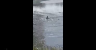 "Работает РТЦК": на Хмельнитчине мужчина вплавь пытался убежать от военкомов (видео)