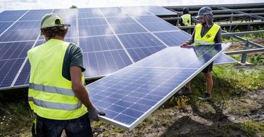 Загроза для життя: у Європі демонтують сотні тисяч сонячних панелей, що сталося