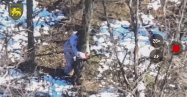 "Жертва Бабе Яге": россияне привязывают своих солдат к деревьям, чтобы их убил украинский дрон