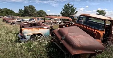 Раритеты под открытым небом: на старой ферме обнаружили кладбище старинных авто (видео)