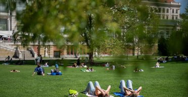 Больше не Вена: опубликовали рейтинг самых комфортных городов для жизни в 2025 году