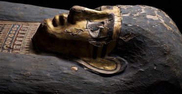 Болезни Древнего Египта: ученые раскрыли роль Нила в распространении паразитов