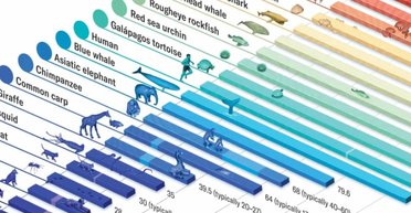 Чому одні тварини живуть кілька днів, а інші не можуть померти: учені шукають ключ