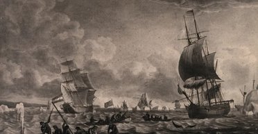 У тілі найдовгоживучішого ссавця у світі знайдено 100-річний гарпун (фото)