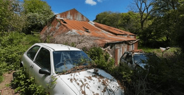 Чоловік знайшов посеред лісу "застиглий у часі" будинок з сюрпризом всередині (фото)
