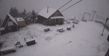 Во Львовской области в середине мая выпал снег: подробности (фото, видео)