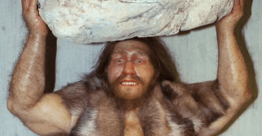 Имели взрывную силу: ученые нашли доказательства анатомической уникальности неандертальцев