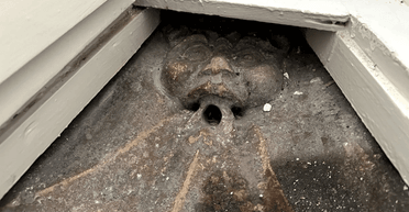 Прятался под люком в ванной: супруги нашли персонажа английских легенд в неожиданном месте