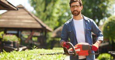 Сосед превращает сад мужчины в джунгли из-за одной незаметной мелочи (видео)