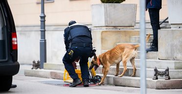 Работали на РФ и готовили взрывы: в Германии и Швейцарии задержали 3 украинцев, — прокуратура