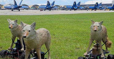 Незвичайні роботи захищають літаки-винищувачі на авіабазах: як вони працюють