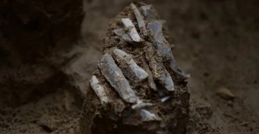 Распаковка из среднего палеолита: археологи нашли содержимое сумки охотника-собирателя