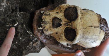 Наполовину обезьяна, наполовину человек: кого на самом деле нашли антропологи