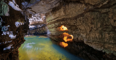 В шотландской "пещере убийств" нашли микроскопические крабоподобные существа (видео)