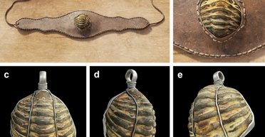 Перші археологи жили в Стародавньому Римі: вони розкопали скам'янілість і знайшли їй застосування (фото)