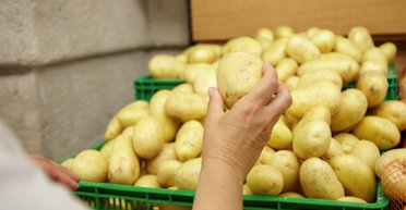 В Украине падают цены на популярный овощ: что стало причиной