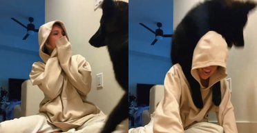 Размером с человека: щенок за 9 месяцев вырос до невероятных масштабов (видео)