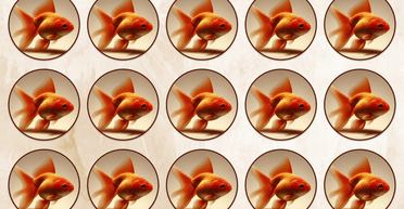 Рибка-невидимка: у вас орлиний зір, якщо ви зможете знайти одну-єдину відмінність