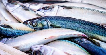 Як вибрати якісну заморожену скумбрію: прості правила від експертки