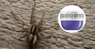 Погнався за чоловіком: косметичний засіб може приваблювати гігантських павуків (фото)