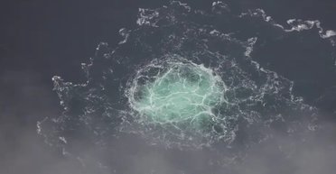 Взрыв на "Северных потоках": что известно о подозреваемом украинце