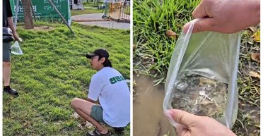 Неожиданный лайфхак: как отыскать потерянные вещи с помощью пакета с водой (видео)