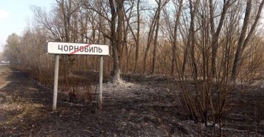 Чернобыльский заповедник стал меньше по указу Зеленского: названа причина