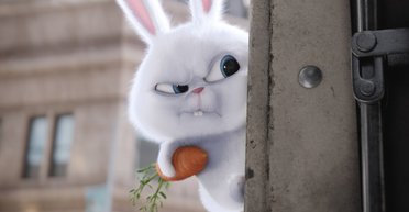 Следуй за белым кроликом. Зачем смотреть анимационную комедию "Секреты домашних животных"