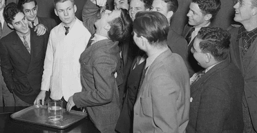 Почалося як парі: студенти вмочували живих золотих рибок у майонез і ковтали (фото)