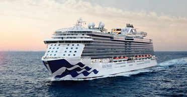 "Правило рушників": пасажир розповів, що відбувається на борту круїзу для нудистів