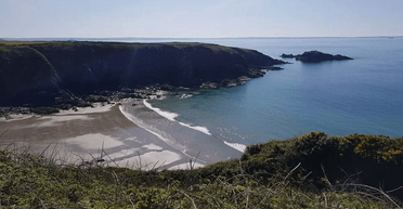 "Не віриться очам": чоловік помітив рідкісну тварину на пляжі під час прогулянки (відео)