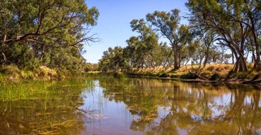 Найдавніша у світі річка існує вже 400 мільйонів років: де вона розташована (фото)