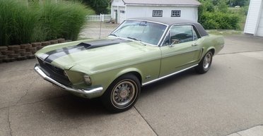 Раритетная капсула времени: обнаружен 55-летний Ford Mustang в идеальном состоянии (фото)