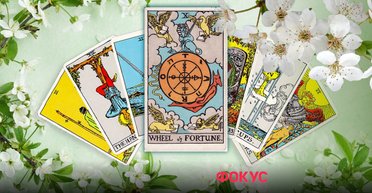 Раки, Рыбы и Скорпионы: Таро-прогноз самых счастливых знаков в марте 2025