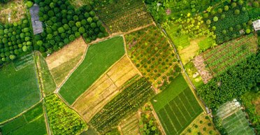 С гектарами на руках. Как правильно оформить покупку или продажу земли