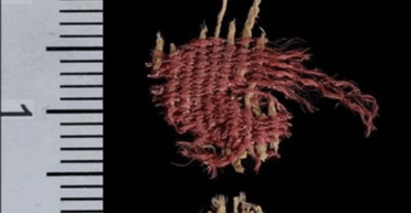 Покрасили с помощью паразитов: археологи нашли уникальную реликвию в Израиле (фото)