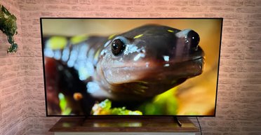 Лучший бюджетный OLED-телевизор 2026 года: какую модель советуют эксперты (фото)