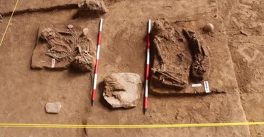 В Малайзії знайшли печери зі скелетами і кристалами: зібрано понад 70 тис. артефактів